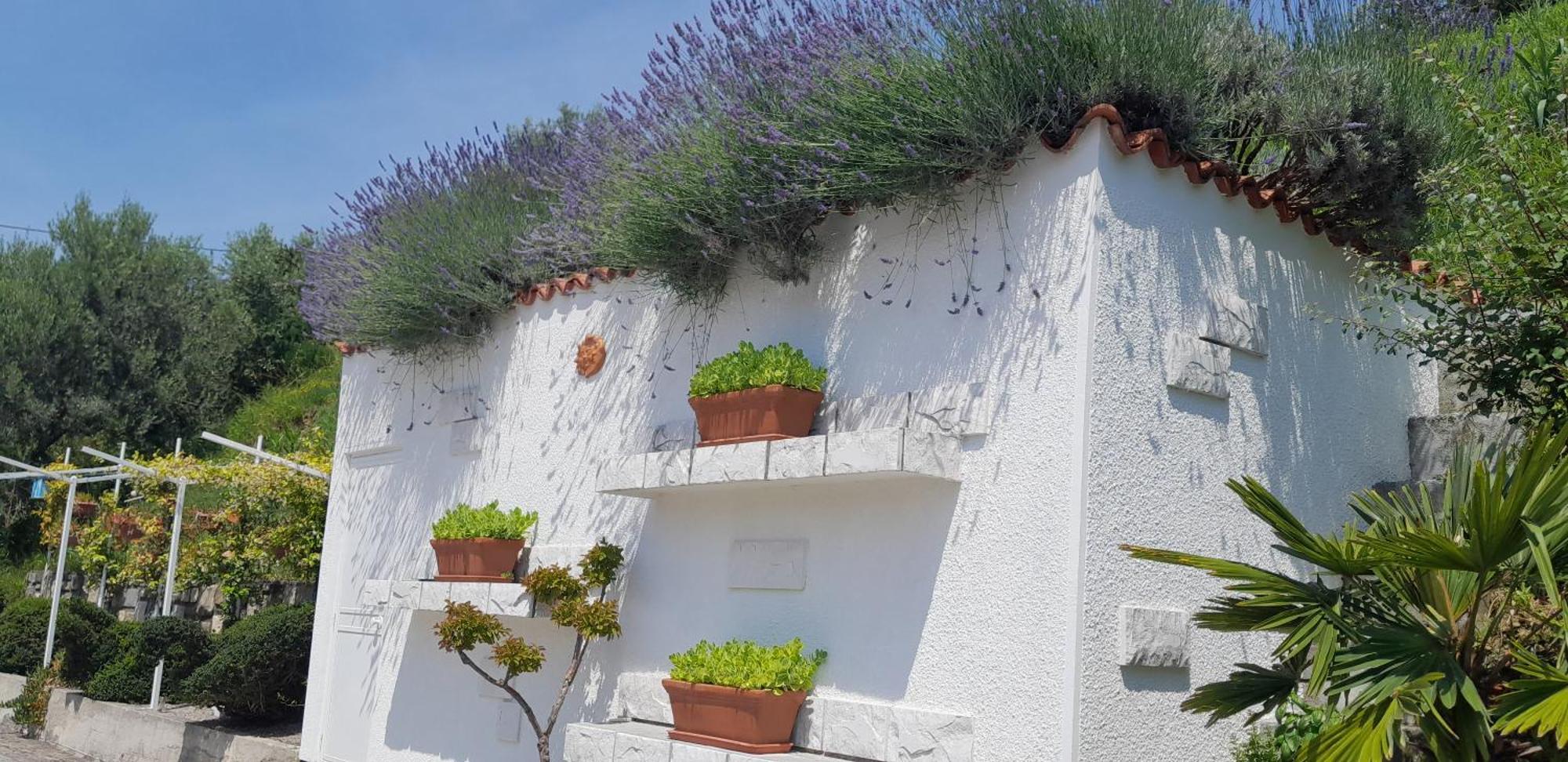Apartments Milok Sečovlje エクステリア 写真